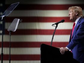Former US President Donald Trump | Credits: AP Photo